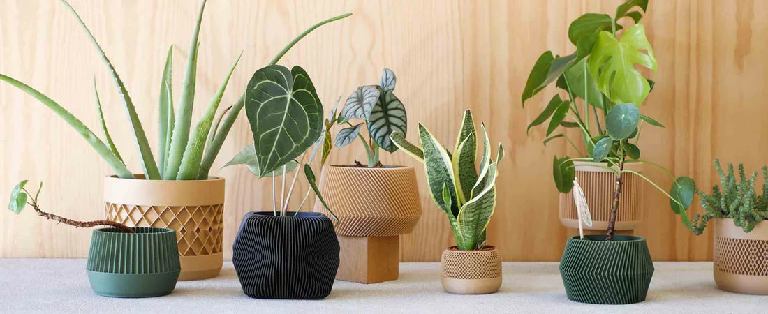 Vases design et durables
