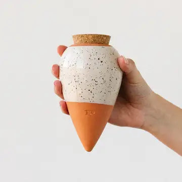 Olla hydratante arrosage autonome petit réservoir d'eau en céramique microporeuse 